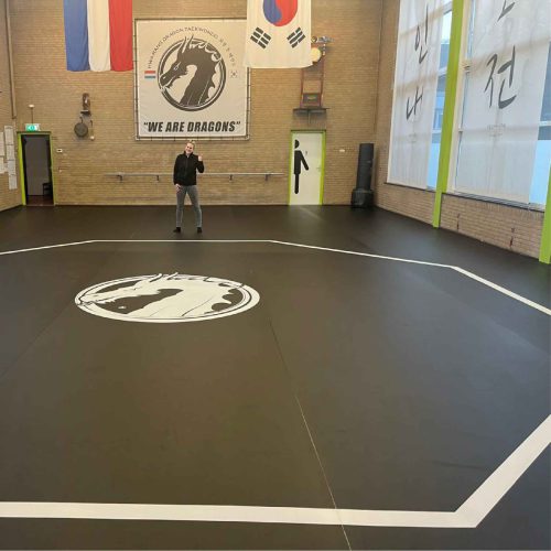 Hwarang Dragon schildering